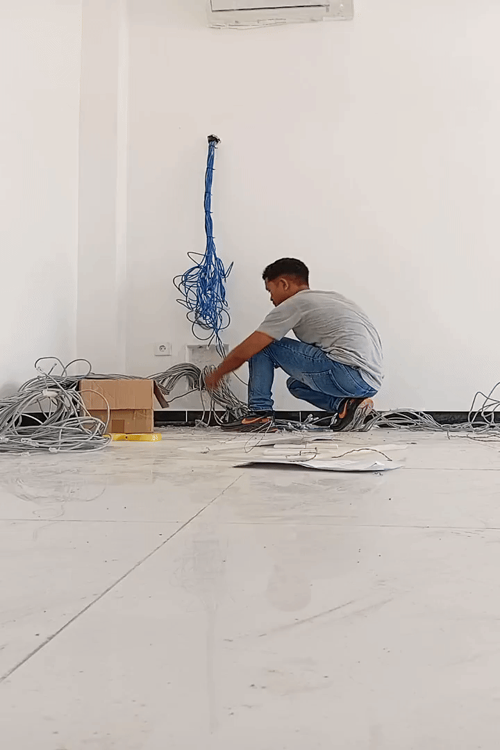 Gallery 6